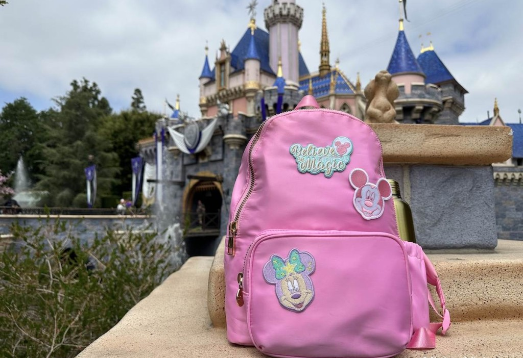 What Should You Look for in a Disney Travel Backpack?