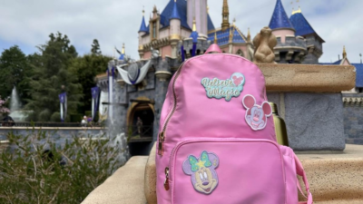 What Should You Look for in a Disney Travel Backpack?