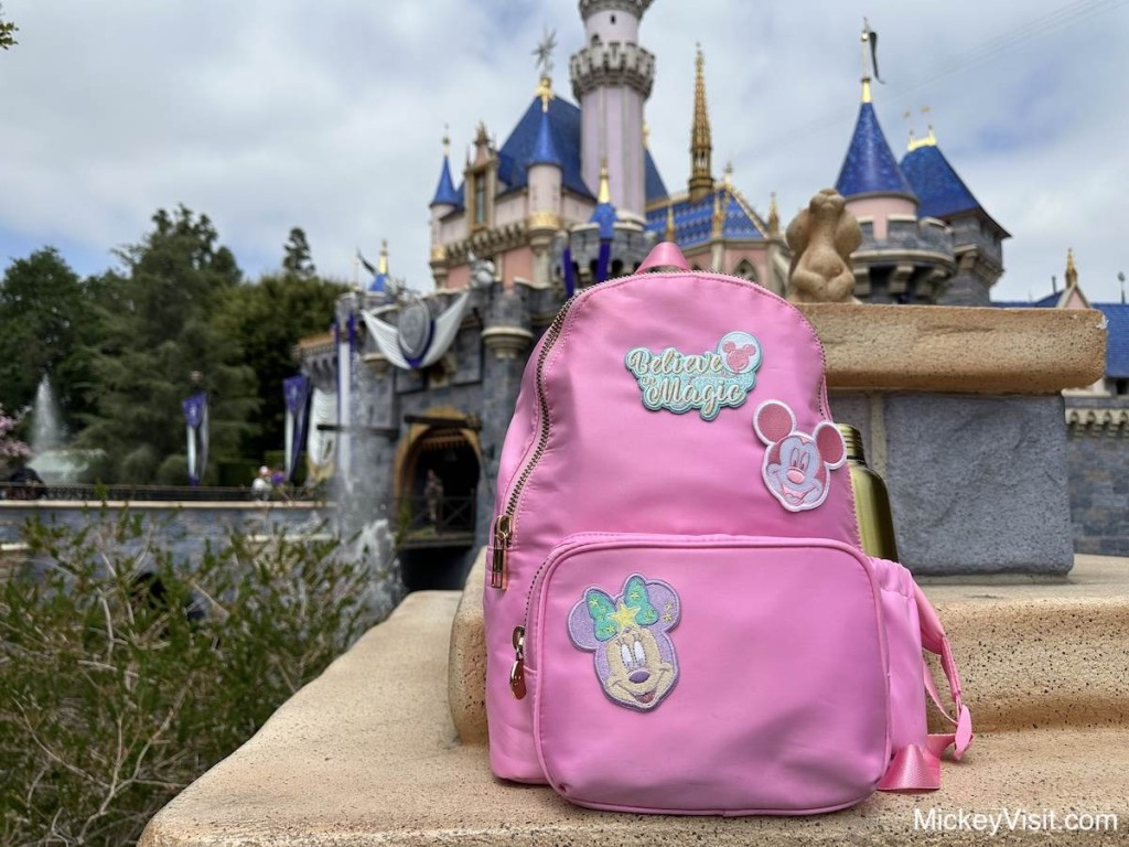 What Should You Look for in a Disney Travel Backpack?