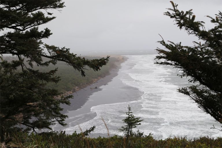 Long Beach Wa