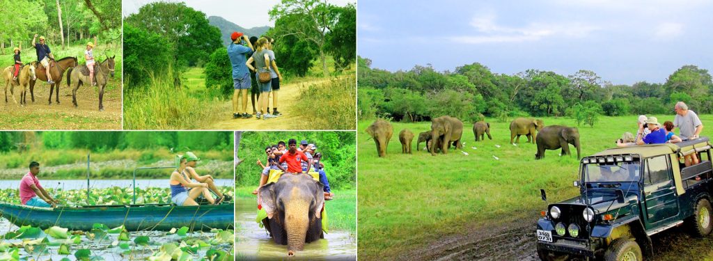 What Are the Best Sri Lanka Holidays for Families?