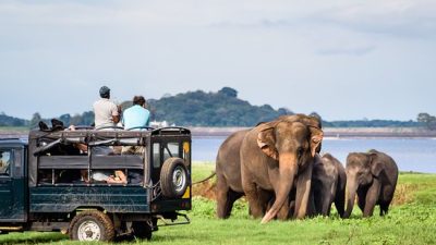 What Are the Best Tourist Places in Sri Lanka for First-Time Visitors?