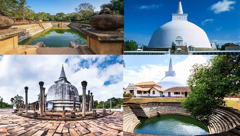 What Are the Best Sri Lanka Holidays for Families?