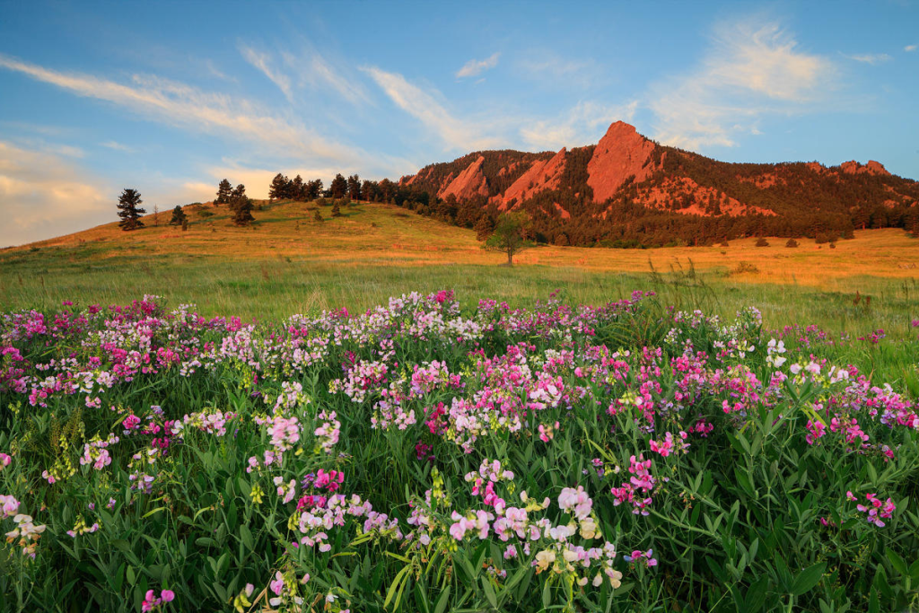 What Are the Best Places to See Fall Foliage in Colorado This September?