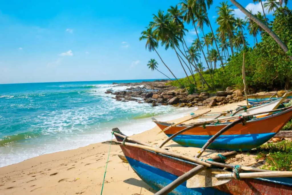 What Makes Ile du Sri Lanka a Must-Visit Destination?