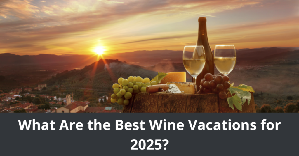 What Are the Best Wine Vacations for 2025?