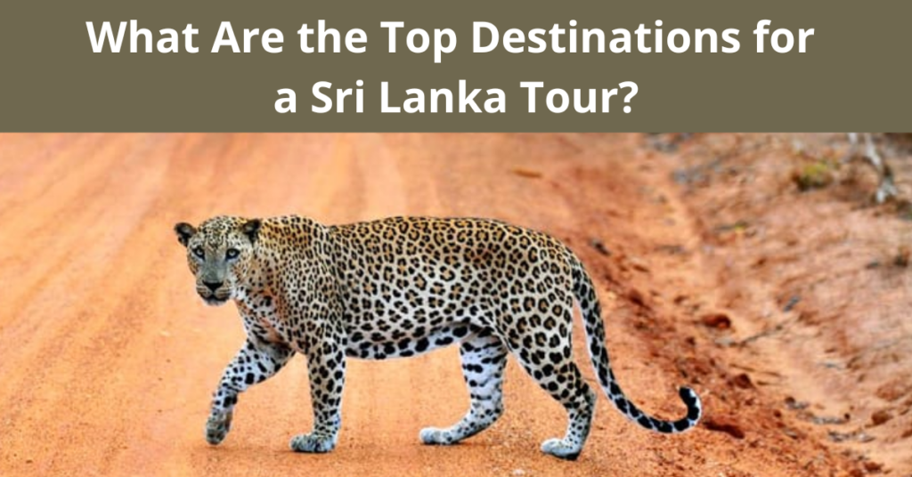 What Are the Top Destinations for a Sri Lanka Tour?