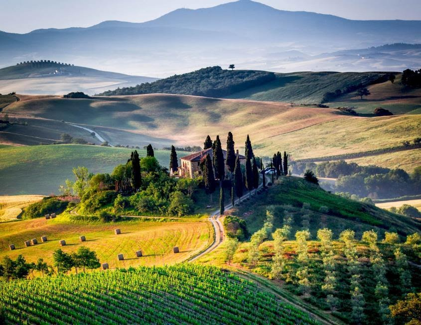 What Are the Best Wine Vacations for 2025?