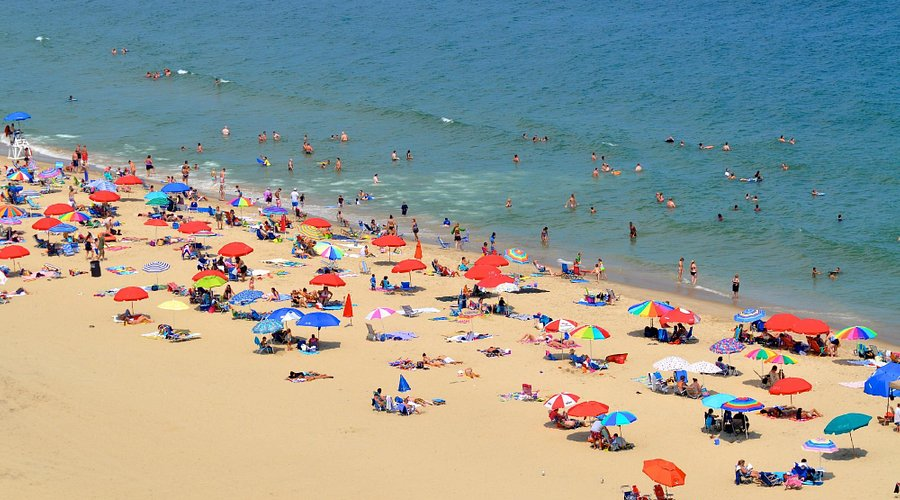 What Are the Best Beaches in Maryland for Families?