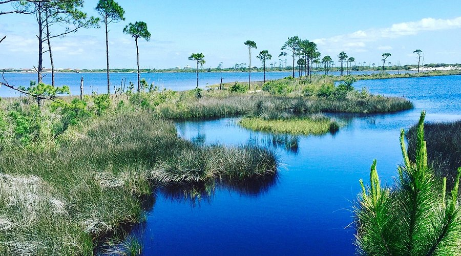 Bon Secour National Wildlife Refuge: Nature and Relaxation