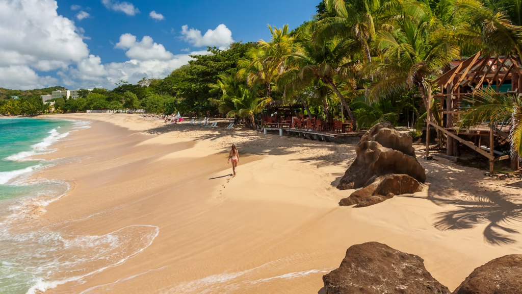 What Are the Best Caribbean Honeymoon Destinations for Adventure Lovers?