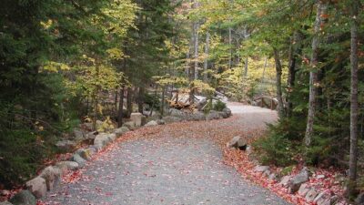 best hikes in acadia national park