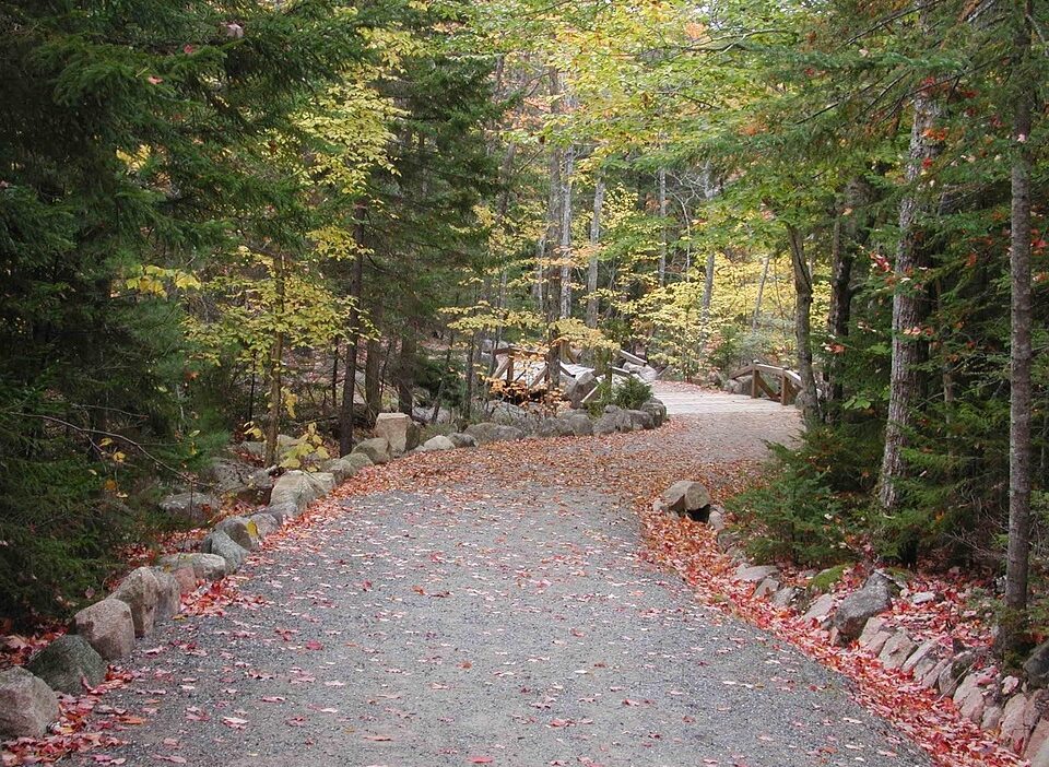 best hikes in acadia national park