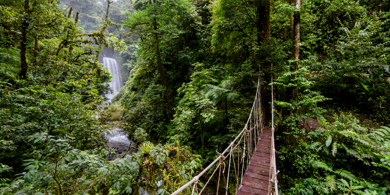 What Are the Best Places to Visit in Costa Rica for Nature Lovers?