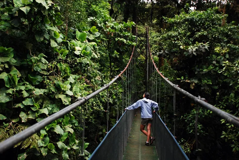 What Are the Top 10 Things to Do in Costa Rica for Adventure Lovers?