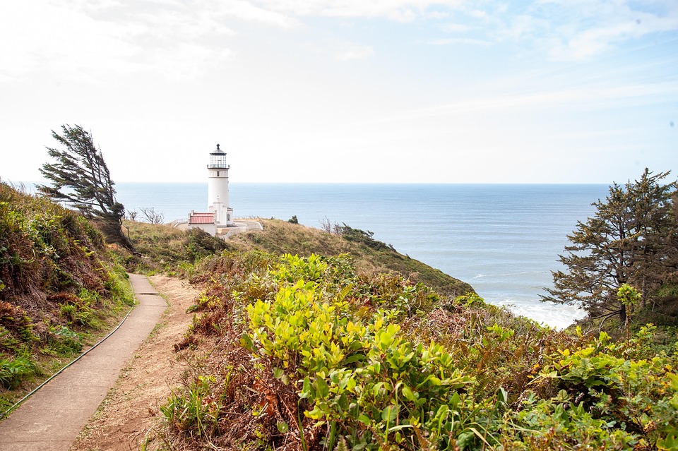 cape disappointment