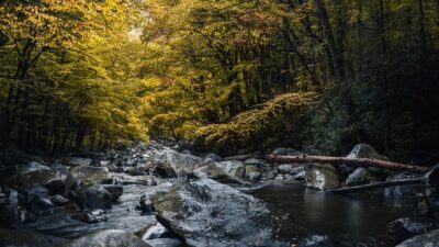 davis creek park