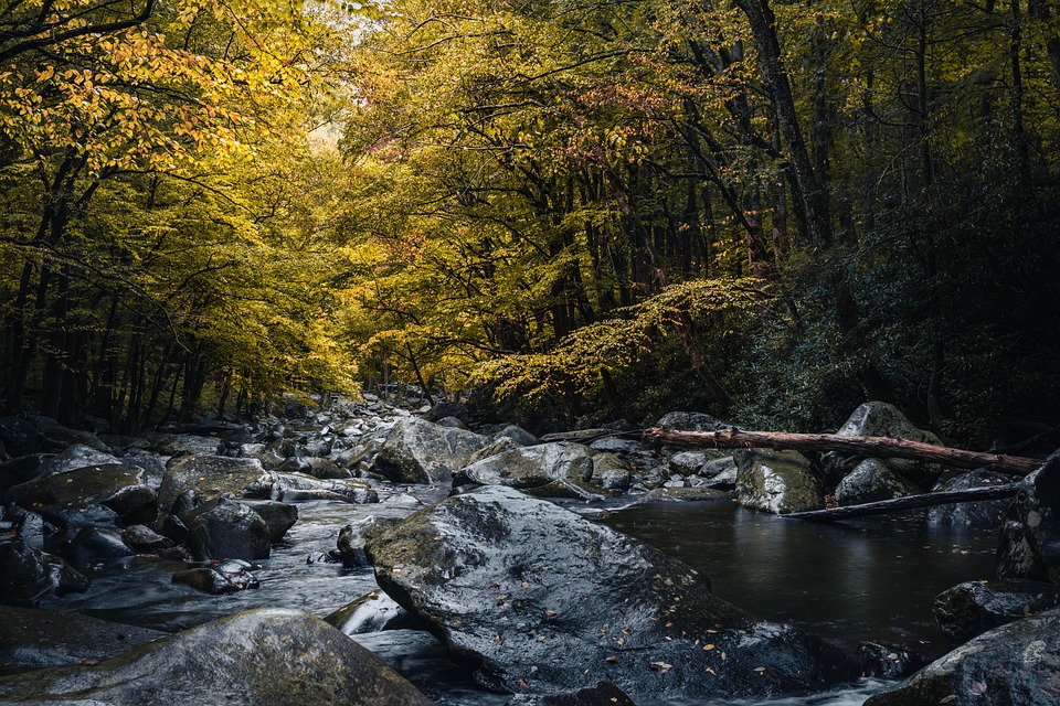 davis creek park