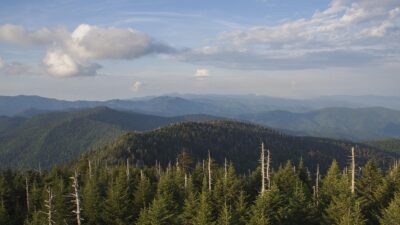 clingmans dome