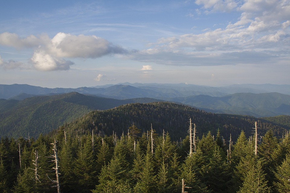 clingmans dome