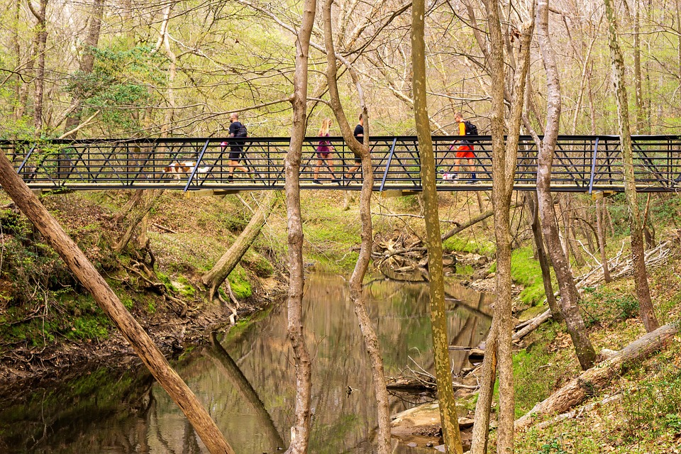 hanging rock state park